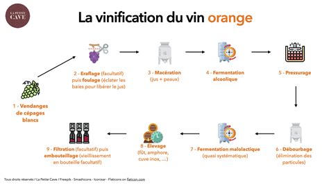 Vinification Comment Est Fait Le Vin Brassage Et Vinification Maison