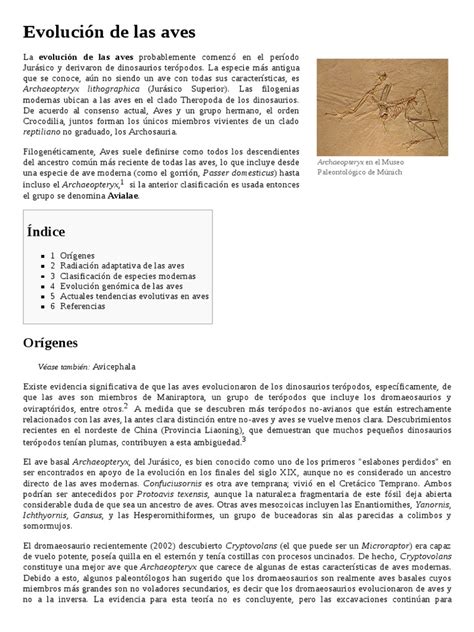 Evolución De Las Aves Pdf Aves Tetrápodos