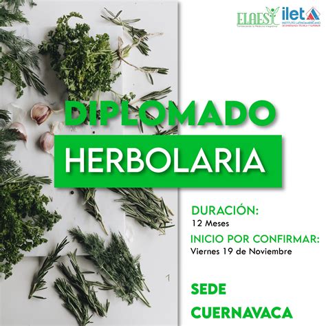 Diplomado Herbolariaflyer 1 01 Elaesi Cuernavaca