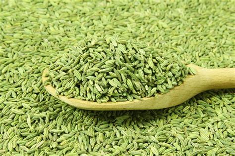 Green Fennel Seed Saunf250 Gm Royal Dry Fruits