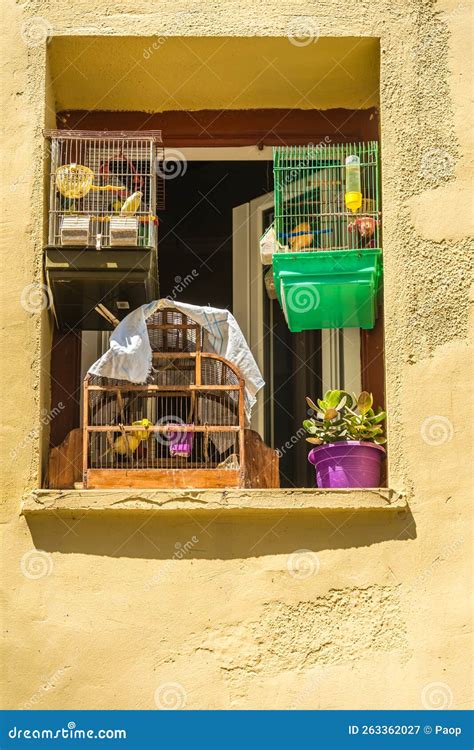 Picturesque Window With Bird Cages In Greece Stock Image Image Of