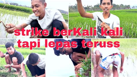 Vlog Mancing Belut Bareng Amal Iron Man Strike Berkali Kali Lepas