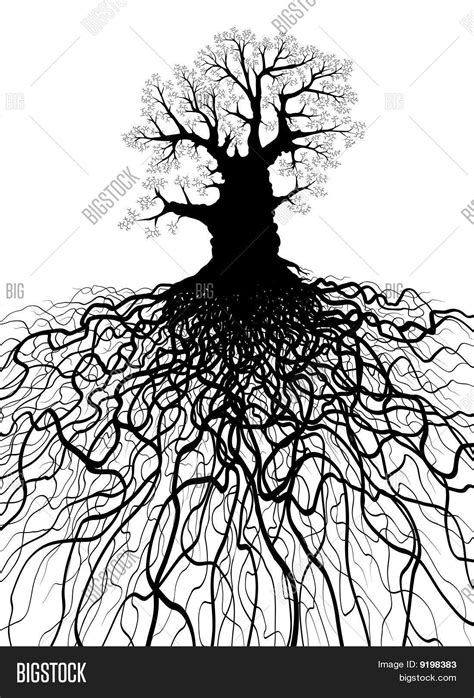 Tree Roots Vector & Photo (Free Trial) | Bigstock