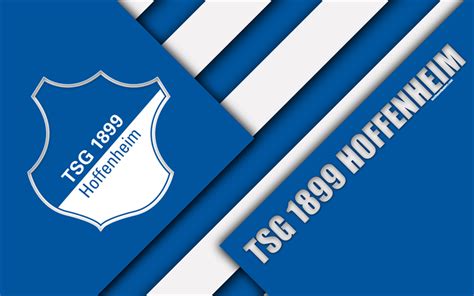 Download wallpapers TSG 1899 Hoffenheim, 4k, material design, emblem ...