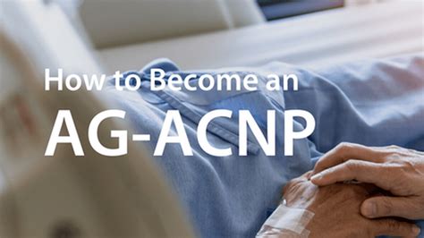 How To Become An Adult Gerontology Acute Care Nurse Practitioner Ag Acnp