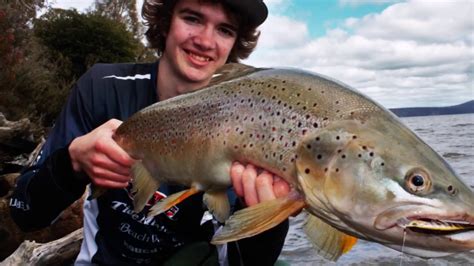 Trout Fishing Tasmania With DUO Liquid Gold Lures YouTube