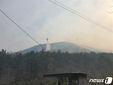 군위 산불 85 진화산림당국 일몰 전 주불 잡기 집중 네이트 뉴스