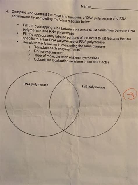 Dna Vs Rna Venn Diagram