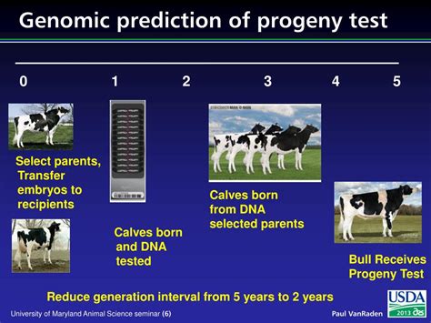 PPT Global Impact Of Genomic Selection In Dairy Cattle PowerPoint