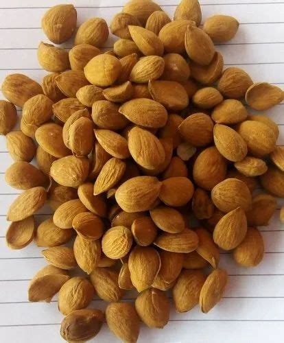 Kashmiri Mamra Almonds Badam At Rs Kg Kashloul Traders