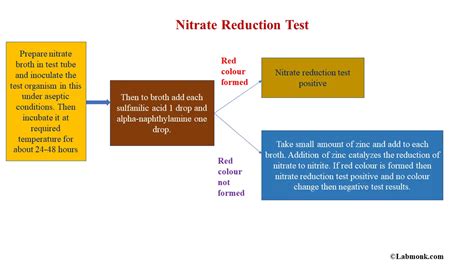 Common Biochemical Tests in Microbiology: Nitrate Reduction Test - Labmonk