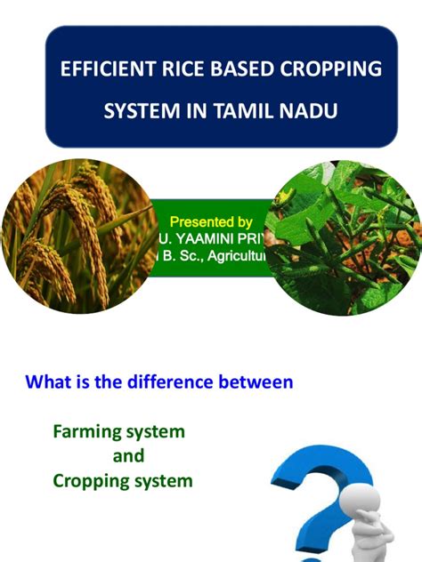 Efficient Rice Based Cropping System Rice Legume