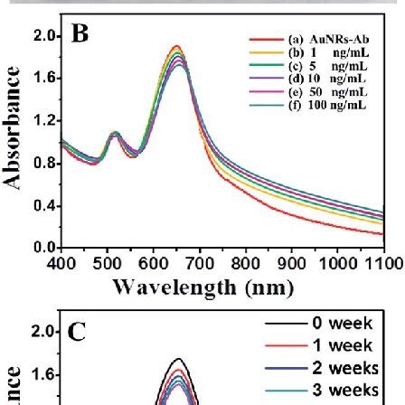 A Vials And B UV Vis Spectra Of A AuNR Ab And B F AuNRs Ab