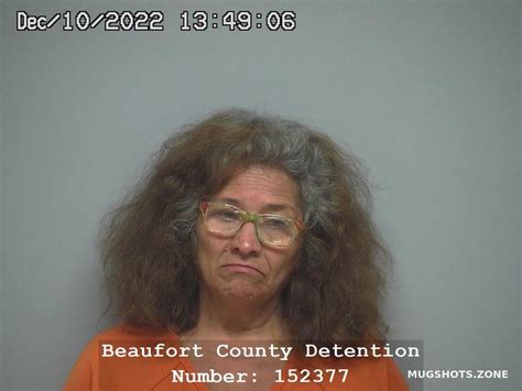 Maria Isabel Hernandez 12 10 2022 Beaufort County Mugshots Zone