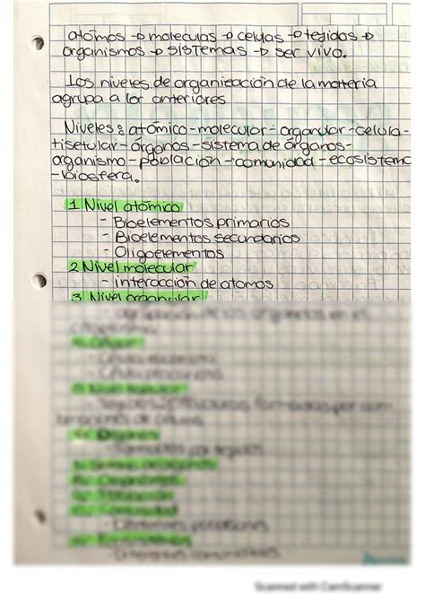 SOLUTION Niveles De La Organizaci N De La Materia Studypool