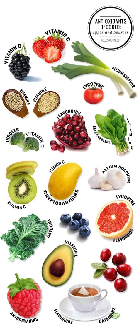 Do Antioxidants Clean Out Your System At Chris Kline Blog