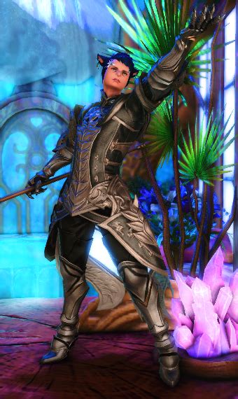 Heavy Armor Healer | Eorzea Collection