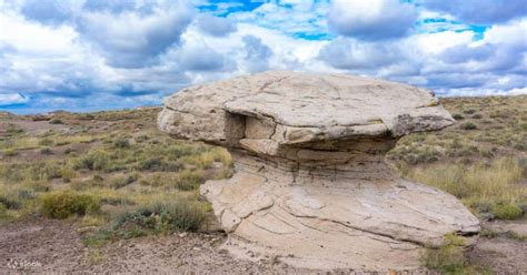 Petrified National Park Self Guided Driving Tour Klook