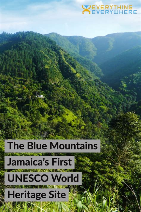 Blue Mountains Jamaica Travel Guide - Plan Your Blue Mountains Vacation ...