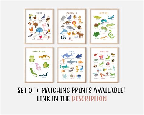 Fish Print Kids Educational Poster Classroom Poster Home - Etsy