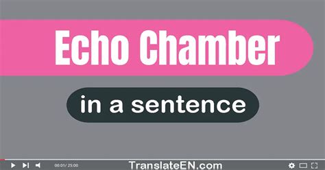 Use "Echo Chamber" In A Sentence