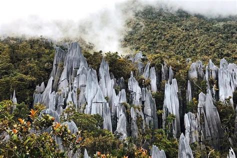 3 Days 2 Nights Unesco World Heritage Mulu 4 Showcaves Gunung Mulu