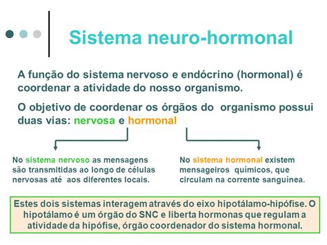 Sistema Neuro Hormonal Ppt Carregar