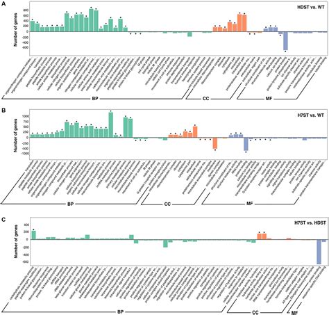 Frontiers Comparative Transcriptome Analysis Revealed Genes Regulated