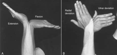 Lab Active Range Of Motion Measurement Goniometry Flashcards