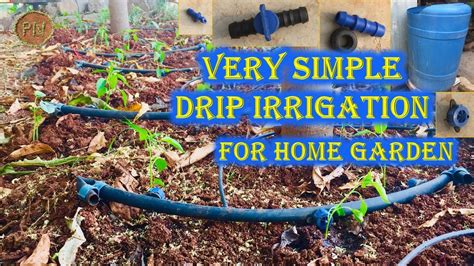 How To Design Drip Irrigation For Garden