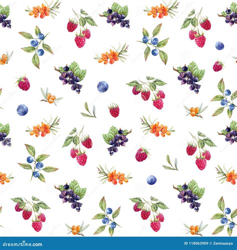 Watercolor Berries Pattern Stock Illustration Illustration Of