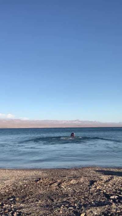 Wetter Than Water Wet Pussy ExhibitionistGirl