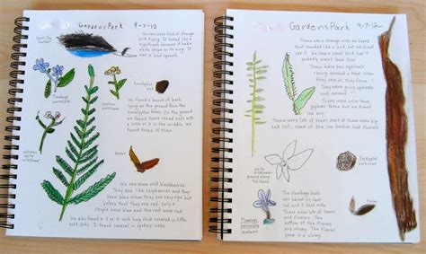 Joyous Lessons The Living Page Nature Journals