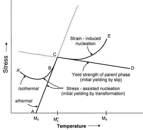 5 Schematic Representation Of The Interrelationships Between