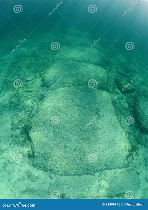 Bimini Road Is An Underwater Rock Formation Stock Photography ...