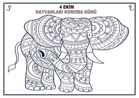 4 Ekim Hayvanları Koruma Günü Mandala Etkinlikleri