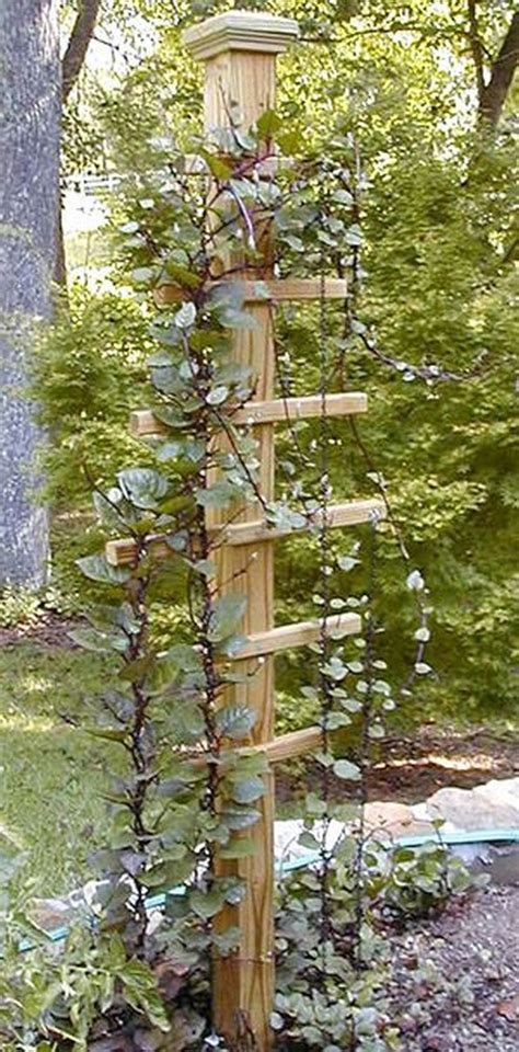 23 Easy Diy Garden Trellis Ideas And Vertical Growing Structures In 2020