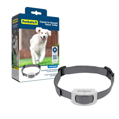 What Collars Are Compatible With Invisible Fence | Storables