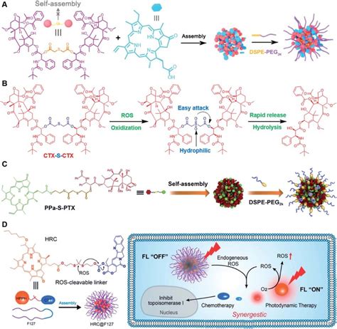 A Schematic Illustration Of PEGylated PPa Driven Nanoassembly Of