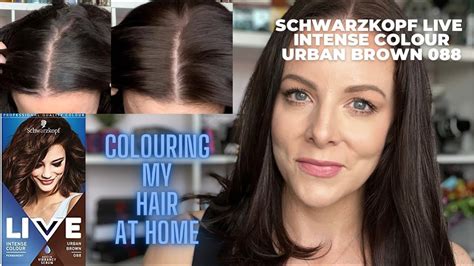 Colouring My Hair Urban Brown At Home Schwarzkopf Live Intense Colour 088 On Brunette Grey