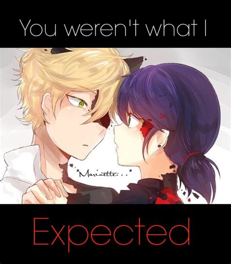 Pin By Wings Cyanne On Miraculous Tales Of Ladybug And Chat Noir Anime Miraculous Ladybug