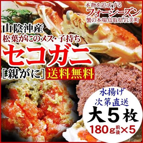 セコガニ 親がに 勢子がに 訳あり 生 大 5枚セット 180g前後が5枚入 送料無料 かに カニ 蟹 日本未入荷