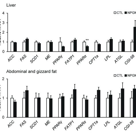 Effect Of Chronic I C V Infusion Of NPGM On The MRNA Expression Of