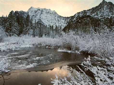 Big Four Ice Caves Snowshoe — Washington Trails Association