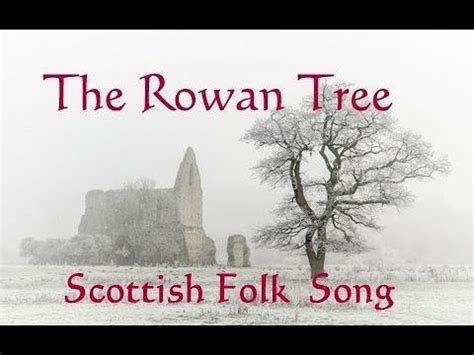 The Rowan Tree Scottish Folk Song Youtube