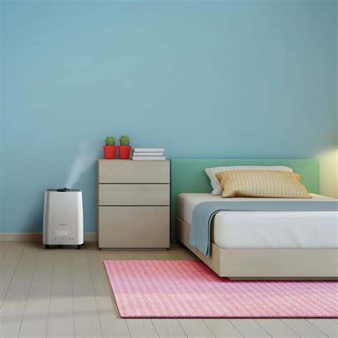 Why do I need a Humidifier - Sunshine Slate