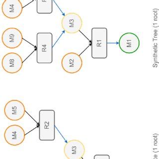 Schematic Representation Of Different SynGraph Types Synthetic Path A