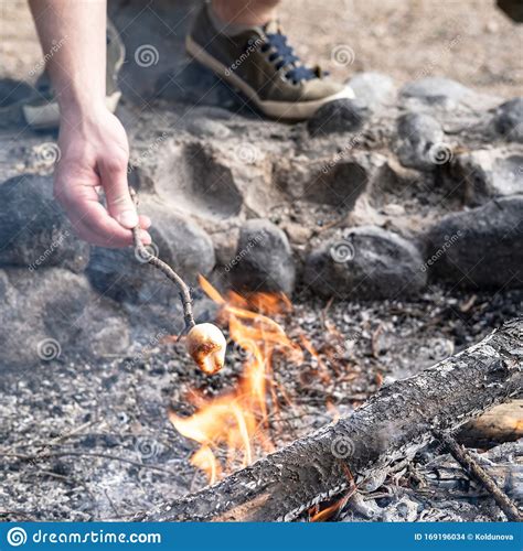 Tasty Sweet Marshmallow On A Crooked Twig Is Held By A Male Hand Over