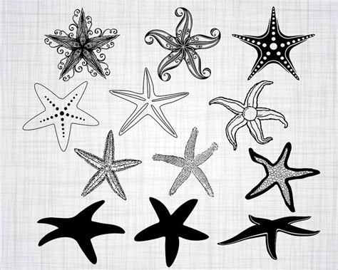 Starfish Svg Bundle Starfish Svg Starfish Clipart Cut Files Etsy