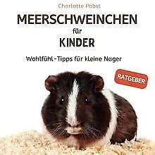 MEERSCHWEINCHEN FÜR KINDER Wohlfühl Tipps für kleine Nage Livre